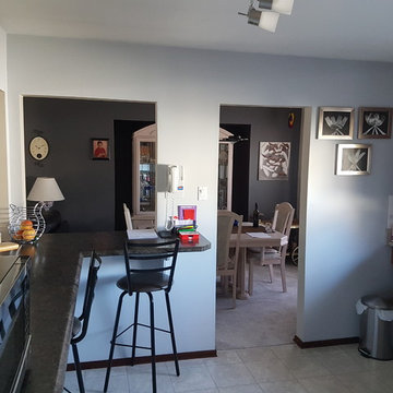 Winnipeg Transitional Kitchen Paint