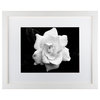 "Gardenia in Black and White" by Kurt Shaffer, 20"x16"