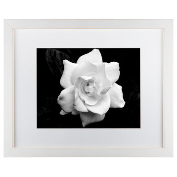 "Gardenia in Black and White" by Kurt Shaffer, 14"x11"