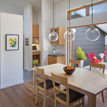 pendant lamps - globe