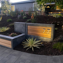 Bolla Remodel Front Yard/Driveway