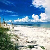 Denise Davidson's photo