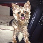 Mo Schemp's photo