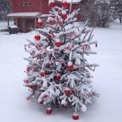 Barbara Krommenhoek's photo