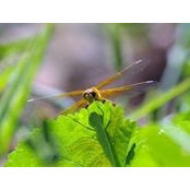 Andrew Lynn's photo