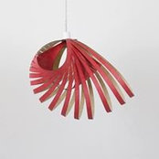 Guillaume Lyons's photo