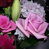 Catherine's photo