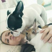 Foto di Rocío Sanchez Robles