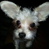 MaryEllen Brill's photo