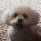 Karlene Carlquist's photo