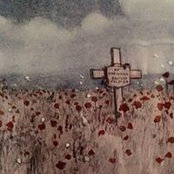 Wendy Lloyd's photo