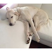 Phil Barrett's photo