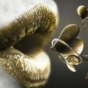 Amy Thompson-Troia's photo