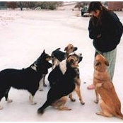 Sandra Garonzik's photo