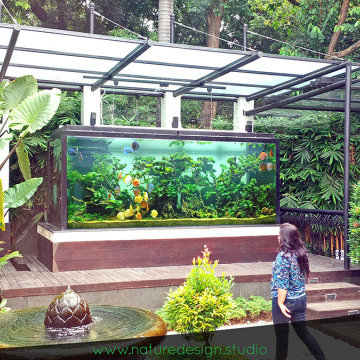 Sunken Garden (2200 Gallons outdoor aquarium)