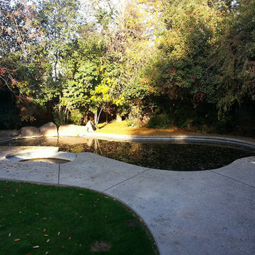 Removable Pool Fencing Contractor