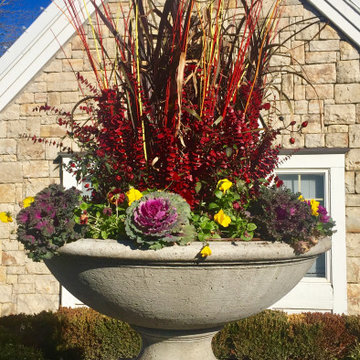 Seasonal Color-Autumn