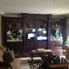 Fish tank