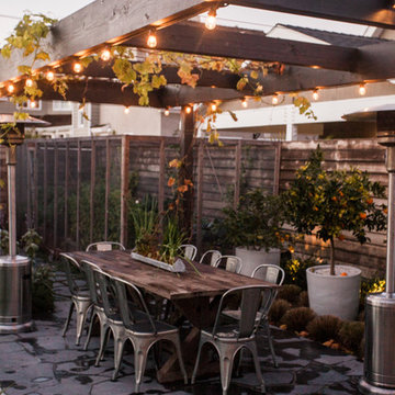 Contemporary Backyard Oasis