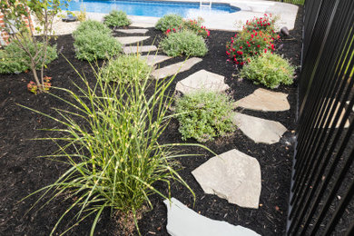 The Backyard Oasis