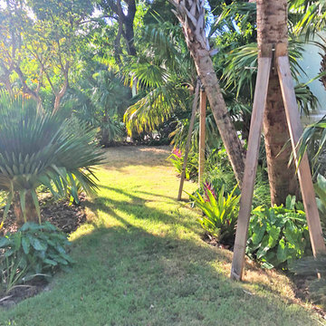Buena Vista Garden