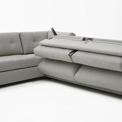 Reed sleeper sectional by DellaRobbia - Sleeper Sofas