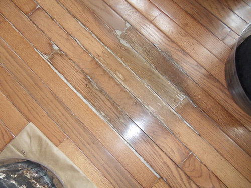 Damaged Hardwood Flooring, How To Refinish Bruce Engineered Hardwood Floors