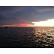 David Durr's photo