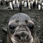 Sonya Montelli's photo