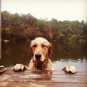 Blase Staszowski's photo