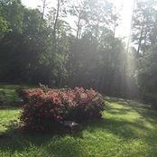 Pamela Buchanan's photo