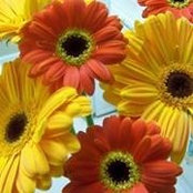 Pam Teigen's photo