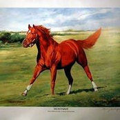 Rory Pinks billede