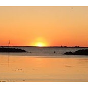 Kat Martin's photo