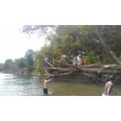 David Ramsey's photo