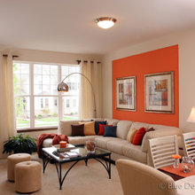 Living Room Ideas