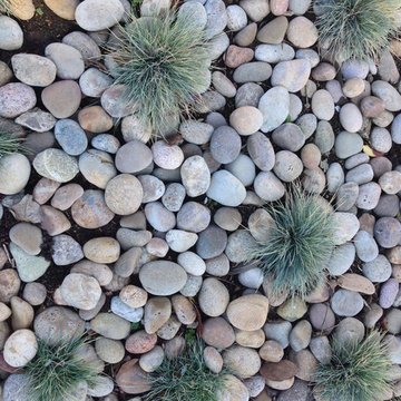 Amazing Coastal Color