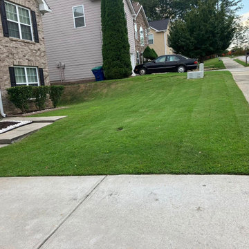 Landscape and Outdoor Property Improvement