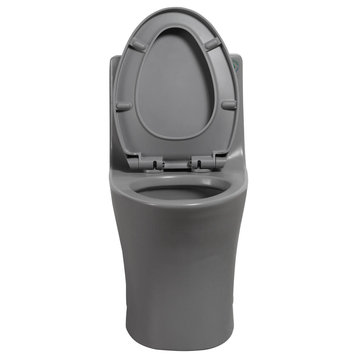 15 1/8" One-piece 1.1/1.6 GPF Dual Flush Elongated Toilet, Light Grey