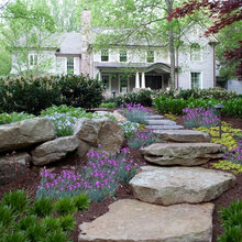 Plants and General Appearance