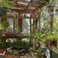 greenhouse