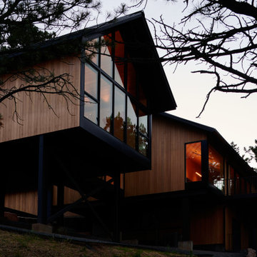 Pine Tree House