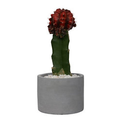 Concrete decor product - Products