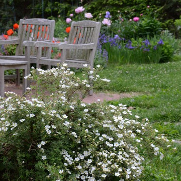 Cottage Garden