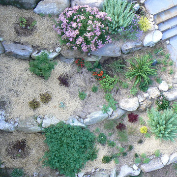 Terraced Butterfly Gardens