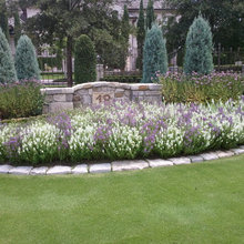 flower beds