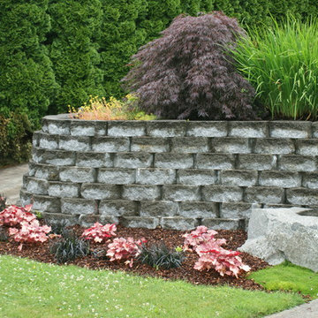 Before and After and Project Photos Landscaping and Tree Removal