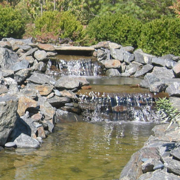 Water Features
