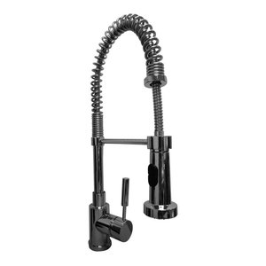 Blanco Meridian Semi Professional Kitchen Faucet Contemporary