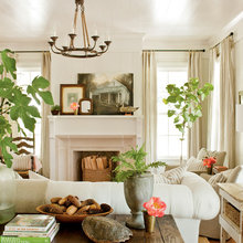 Living Room Ideas